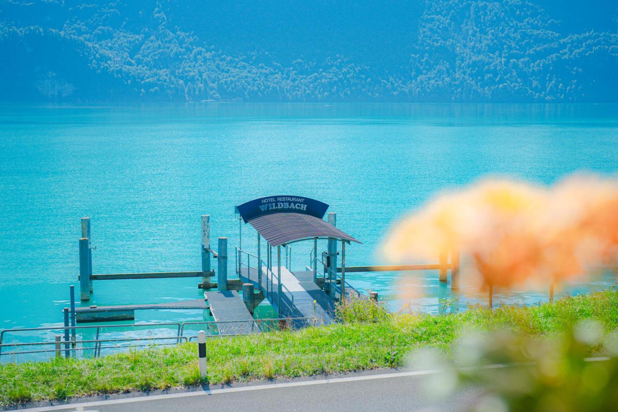 Hotel Wildbach Brienz برينز المظهر الخارجي الصورة